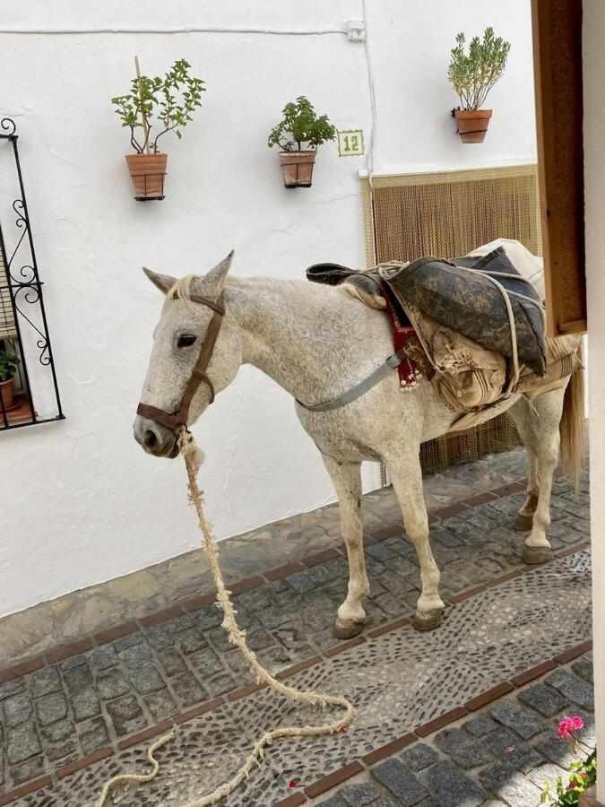 Casa Rural Villa Sila Benalauría Eksteriør billede